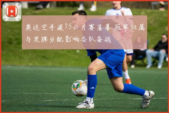 奥运空手道75公斤赛落幕 冠军归属与奖牌分配影响各队备战