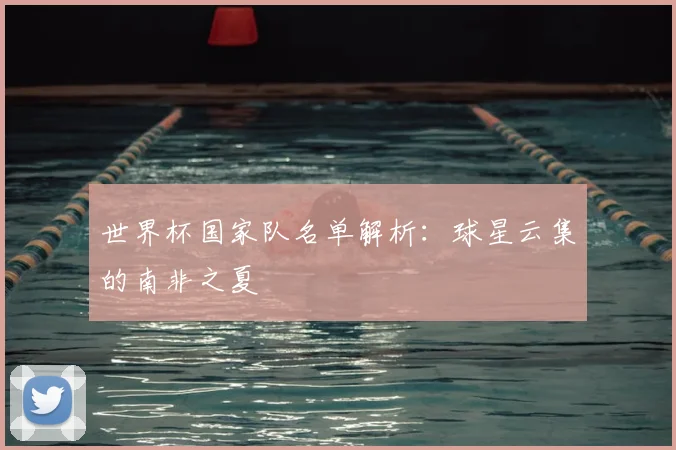 世界杯国家队名单解析：球星云集的南非之夏