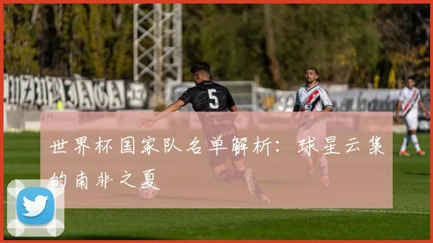 世界杯国家队名单解析：球星云集的南非之夏